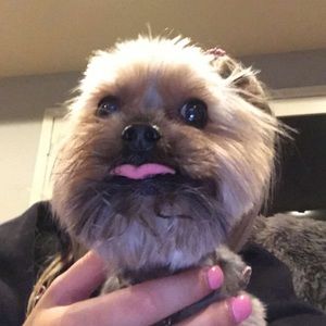 Meet your Posher, Mason